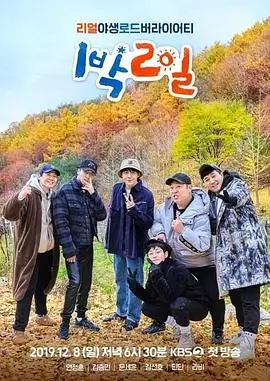 乘风2025 综艺 2025 芒果TV